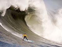 开云体育-塔图姆式无解！北京队血拼山西，谁是那个完全无解的对手？