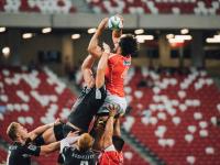 开云体育中国-巴雷拉一锤定音，安哥拉绝杀比利时背后的关键先生