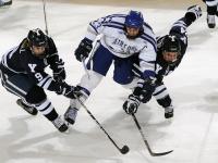 开云体育官网-北欧风暴逆转非洲雄狮，蒂亚戈一球点燃全场，瑞典上演惊天翻盘