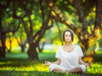 开云体育app-澳网横扫拉沃尔杯，蒂姆关键制胜，铸就网坛唯一传奇