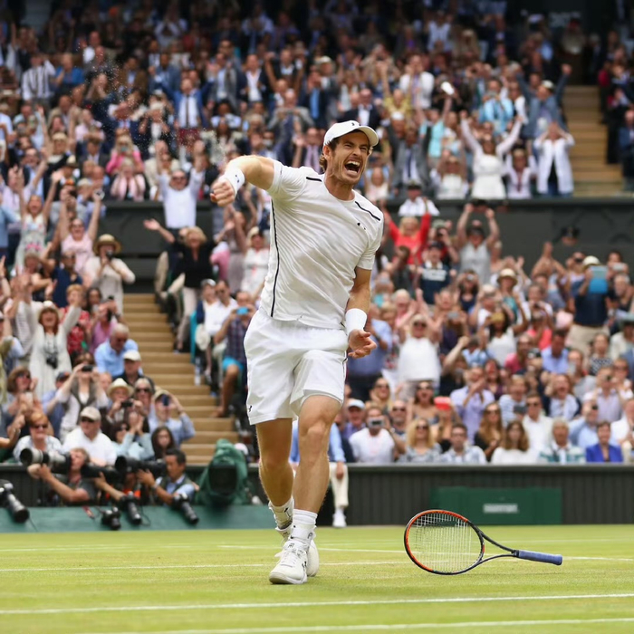 德国网球队险胜英国网球队，穆雷制霸全场的简单介绍